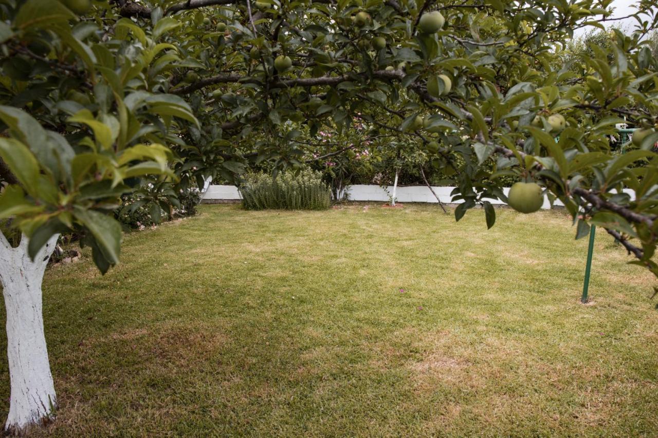 ספרטיה Anna Maria Apartments מראה חיצוני תמונה